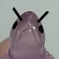 t/g