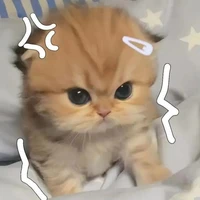 tác giả tớ