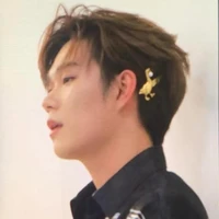 Trần Đăng Dương