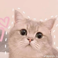 ☆彡彡 мєσ мα̣̂ρ ミミ☆