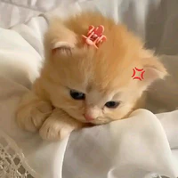 Mynh Ah khùng 💗