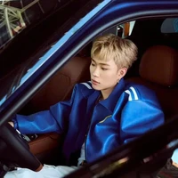 dương domic
