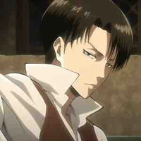 Levi Ackerman 