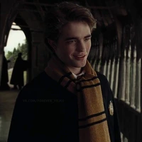 Cedric Diggory