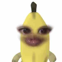 Y/n kim