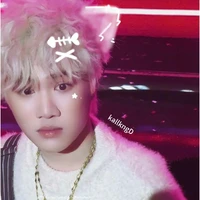 captain boy( mèo Duy)