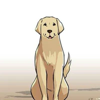 Inu
