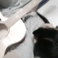 Lại là t/g đâyyy