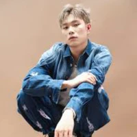 Dương đo mic
