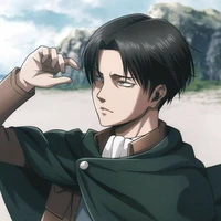 Levi