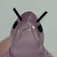 t/g