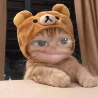 con tác giả ko ác ai ác 🤩