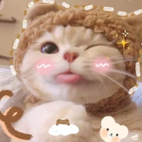 TG Con Mèo Thối