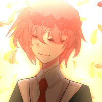 TT hiha