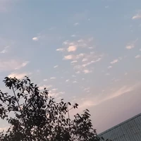 Tôi