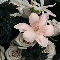 All