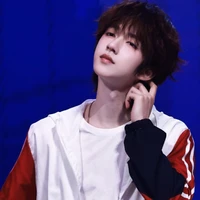 Hạ Tuấn Lâm