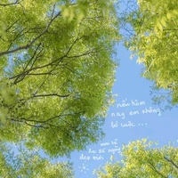 all ( trừ ai thì trừ)