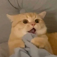 T/G thx ship ZerosXSonDu 💓💓