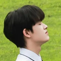 Trương cực