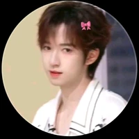 Hạ Tuấn Lâm