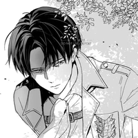 Levi Ackerman