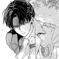 Levi ackerman