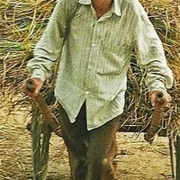 Ông Sinh