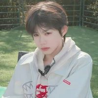 Trần Dịch Hằng