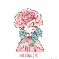Cân mọi nvn