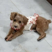 BờLèeee