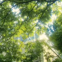 all nhân vật phụ