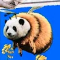t/g thích hùngan