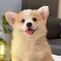 hana