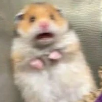 tg yeucacban lắm💕