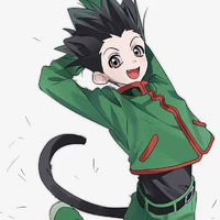 Gon Freecss