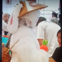 Thỏ Bảy Màu ( dạng người ) t/g