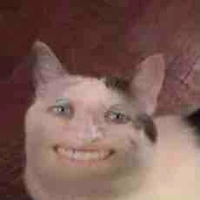 Phóng viên xạo c.hó 