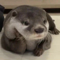 t/g