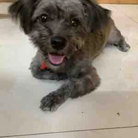 mẹ july(lucky)