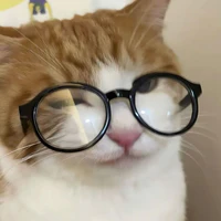 Mon xiu xiu cute