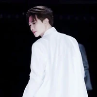 Bùi Anh Tú