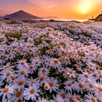 nhanvatbianchuaduoctietlo