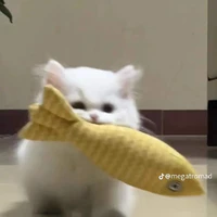 T/g bị ngu Văn nặng:)))