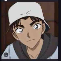 Hattori heji
