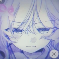 Y/N