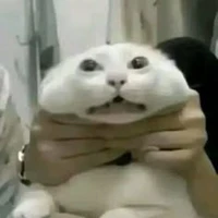 t/g (kiêm Hệ thống)