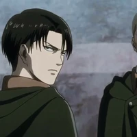 levi/1m6/