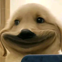 nvp