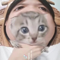shin nèk